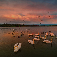 Buy canvas prints of Yeadon Tarn by Colin Metcalf