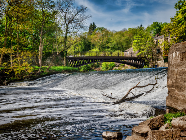 Pollard Bridge and Top Weir. Picture Board by Colin Metcalf