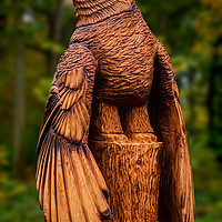 Buy canvas prints of Harris Hawk Carving by Colin Metcalf