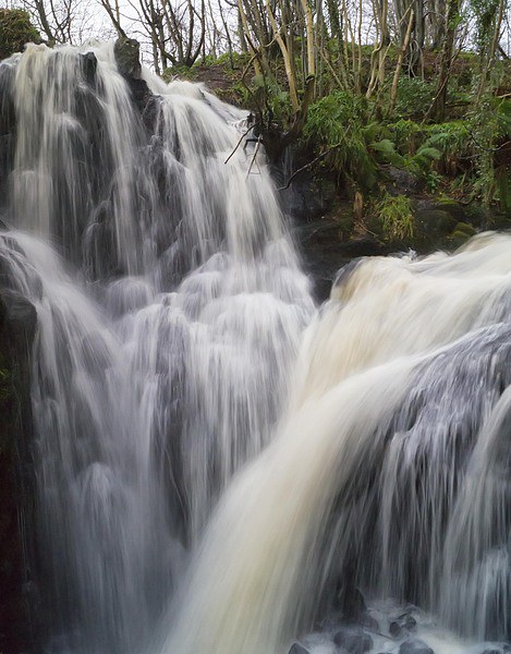 Fairlie Castle Waterfalls Picture Board by Geo Harris