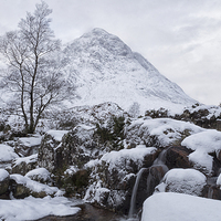 Buy canvas prints of  Buachaille Etive Mor Winter Delight by Geo Harris