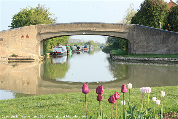 Spring at Napton junction Picture Board by Linsey Williams