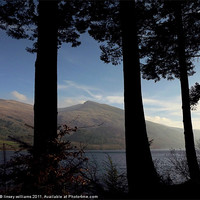 Buy canvas prints of Through the tree's towards Helvellyn by Linsey Williams