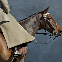 Buy canvas prints of Sidesaddle rider by Linsey Williams