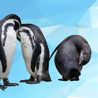Buy canvas prints of  Penguin Party by Linsey Williams