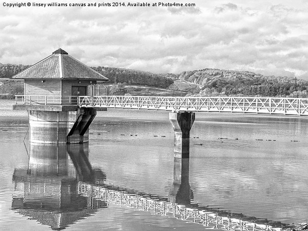  Cropston Reservoir Black And White Picture Board by Linsey Williams