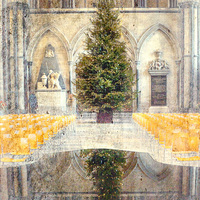Buy canvas prints of Salisbury Cathedral At Christmas Time by Linsey Williams