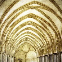 Buy canvas prints of Salisbury Cathedral Cloisters 2 by Linsey Williams