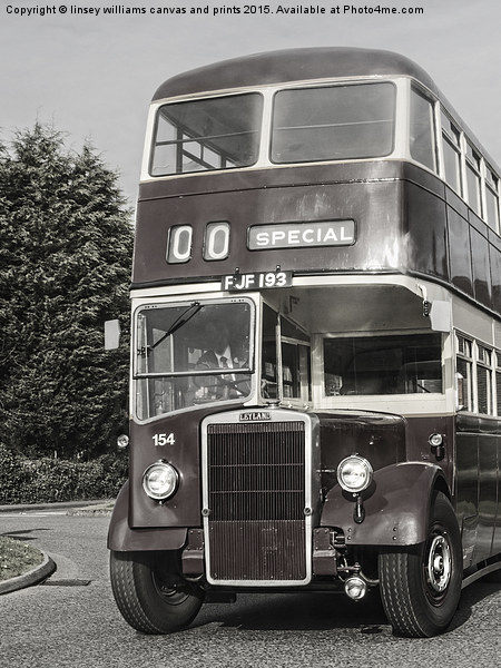 A 1950 Leicester City Double Decker Bus  Picture Board by Linsey Williams