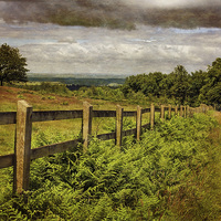Buy canvas prints of  A Path From A Hill by Linsey Williams