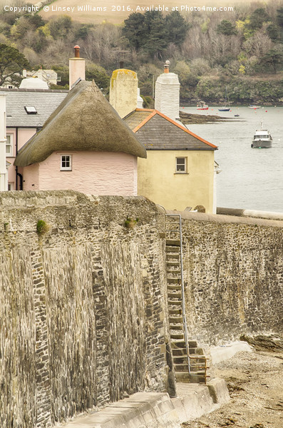 Steps To The Beach, St. Mawes Picture Board by Linsey Williams