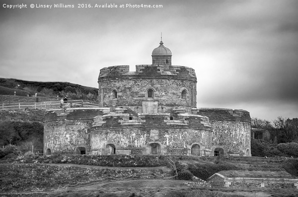 St. Mawes Castle In Mono Picture Board by Linsey Williams