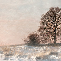 Buy canvas prints of A Misty Winter Sunset by Linsey Williams