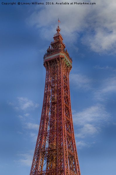 Blackpool Tower Picture Board by Linsey Williams