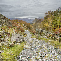 Buy canvas prints of The Lake District, Borrowdale by Linsey Williams