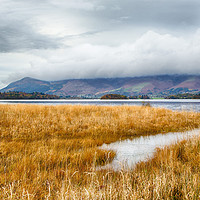 Buy canvas prints of Skiddaw Under Cloud by Linsey Williams