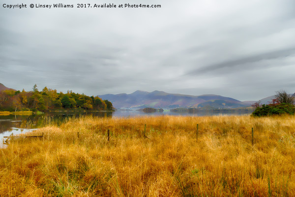 Derwent Valley and Skiddaw Autumn Picture Board by Linsey Williams