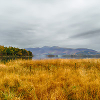 Buy canvas prints of Derwent Valley and Skiddaw Autumn by Linsey Williams