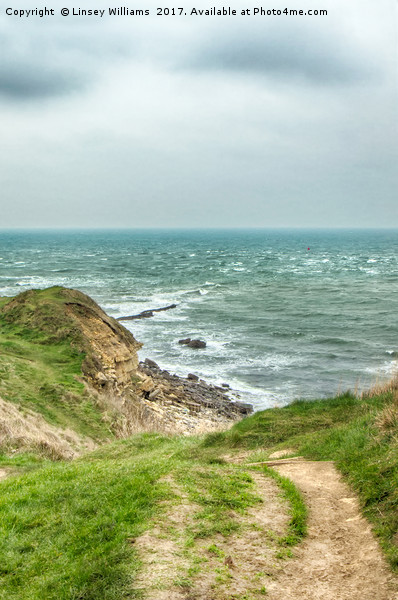 Peveril Point, Swanage, Dorset Picture Board by Linsey Williams