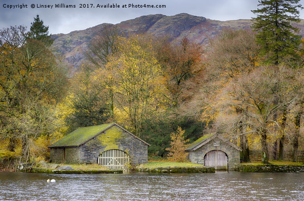 BoatHouses, Coniston Water Picture Board by Linsey Williams