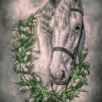 Buy canvas prints of Horse 2 by Linsey Williams