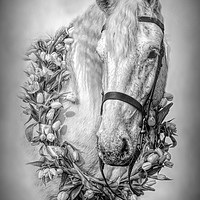 Buy canvas prints of Horse 3 by Linsey Williams