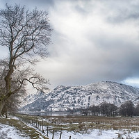 Buy canvas prints of Path to Patterdale 2 by Linsey Williams