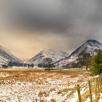 Buy canvas prints of Path to High Hartsop Dodd by Linsey Williams