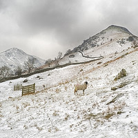 Buy canvas prints of High Hartsop Dodd, Cumbria by Linsey Williams