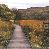 Buy canvas prints of Autumn in Borrowdale, Cumbria by Linsey Williams