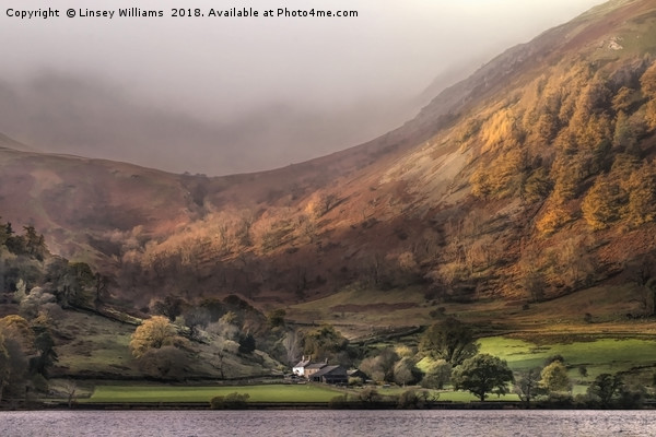 Glencoyne on Ullswater, The Lake District Picture Board by Linsey Williams