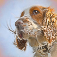 Buy canvas prints of English Springer Spaniel  by Linsey Williams