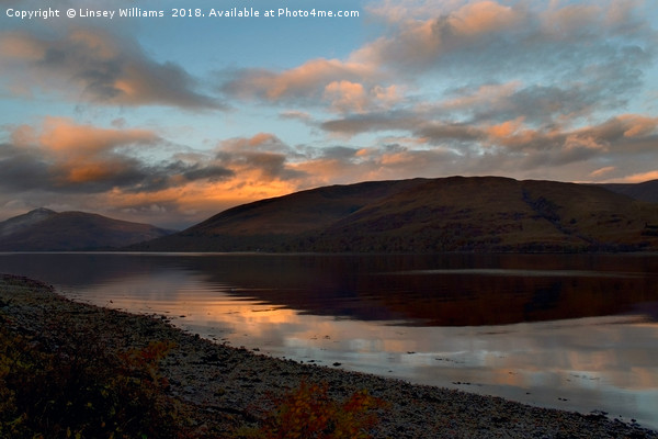 Sunrise Over Loch Linnhe, Scotland Picture Board by Linsey Williams