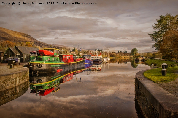 Caledonian Canal at Banavie Scotland Picture Board by Linsey Williams