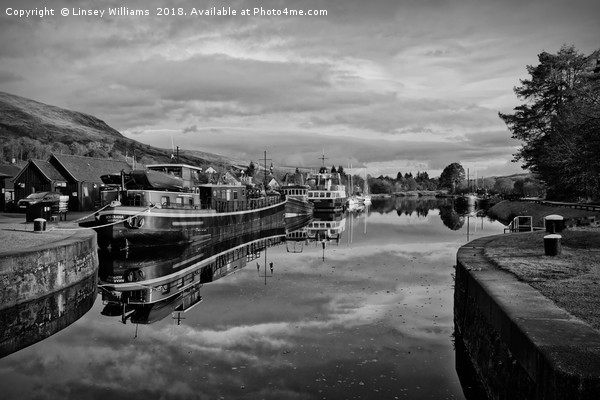 Caledonian Canal at Banavie Scotland Picture Board by Linsey Williams