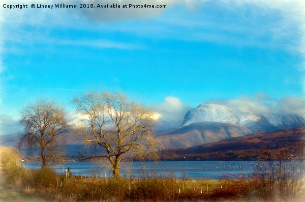 Ben Nevis and Loch Lochy, Scotland Picture Board by Linsey Williams