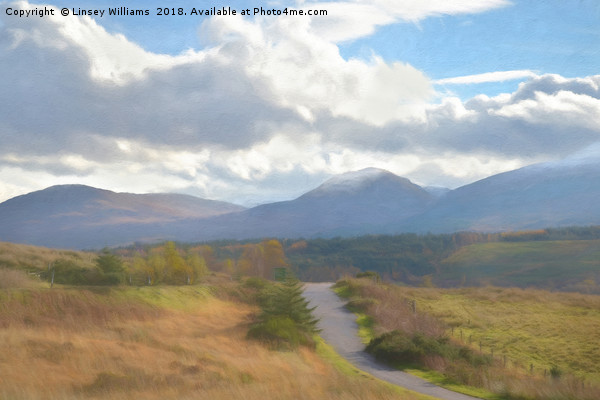 Road Through the Highlands Picture Board by Linsey Williams