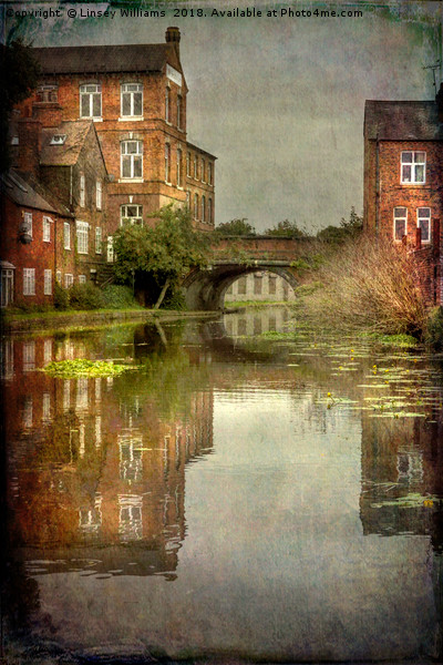 The Grand Union Canal at Loughborough, Leicestersh Picture Board by Linsey Williams