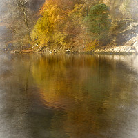 Buy canvas prints of Autumn Reflections by Linsey Williams