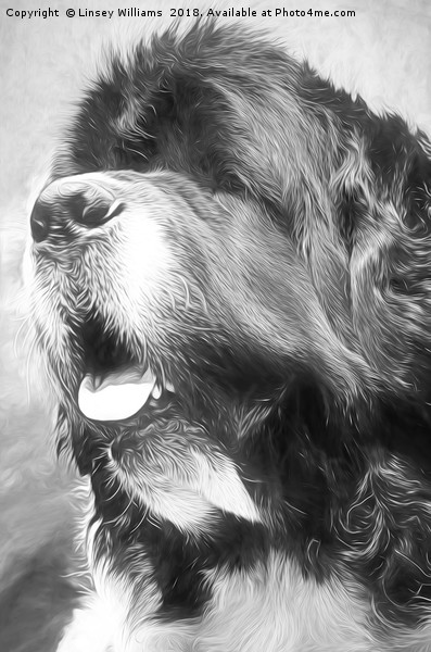 Newfoundland Dog Picture Board by Linsey Williams