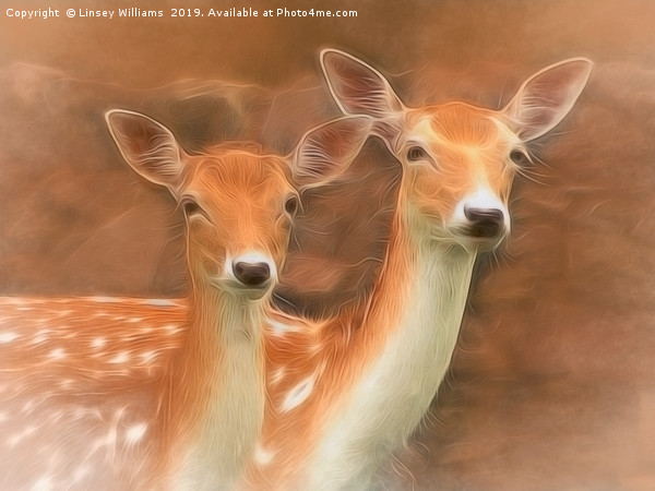 Two Fallow Deer Picture Board by Linsey Williams