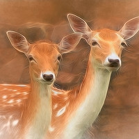 Buy canvas prints of Two Fallow Deer by Linsey Williams