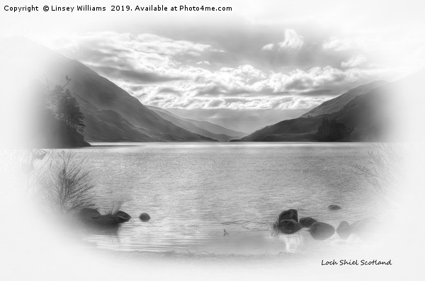 Loch Shiel, Scotland Picture Board by Linsey Williams