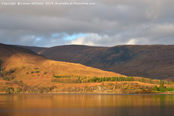 An Autumn View Across Loch Linnhe Picture Board by Linsey Williams