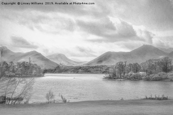 Lake Derwent Cumbria Picture Board by Linsey Williams