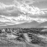 Buy canvas prints of Highbridge, The Highlands by Linsey Williams