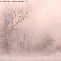 Buy canvas prints of Trees in Frost and Fog by Linsey Williams