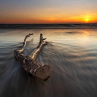 Buy canvas prints of Berrow beach Driftwood...  by J.Tom L.Photography