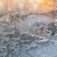 Buy canvas prints of Frost on a window by Iain Mavin