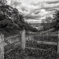 Buy canvas prints of  View from a Fence by Iain Mavin